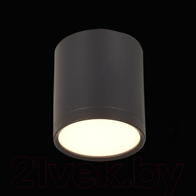 Точечный светильник ST Luce Rene ST113.432.05