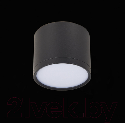 Точечный светильник ST Luce Rene ST113.432.09