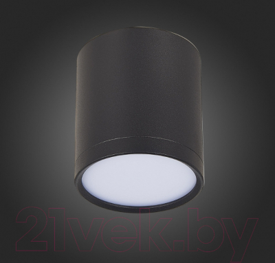 Точечный светильник ST Luce Rene ST113.442.05