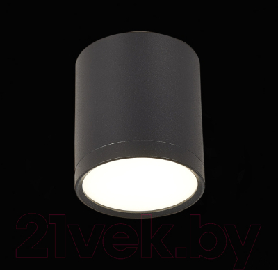 Точечный светильник ST Luce Rene ST113.442.05