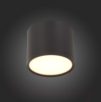 Точечный светильник ST Luce Rene ST113.442.09