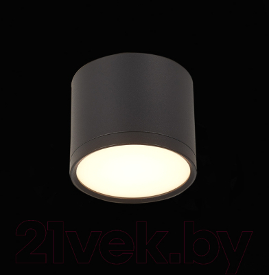 Точечный светильник ST Luce Rene ST113.442.09