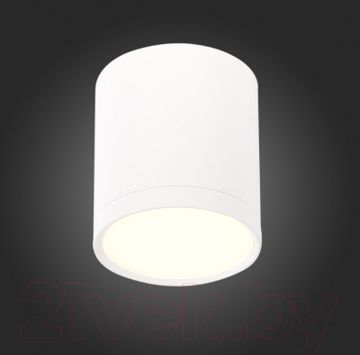 Точечный светильник ST Luce Rene ST113.532.05