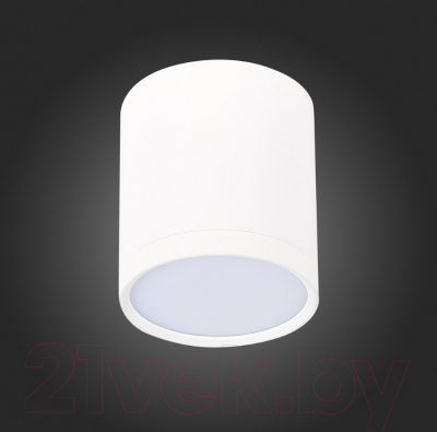 Точечный светильник ST Luce Rene ST113.532.05