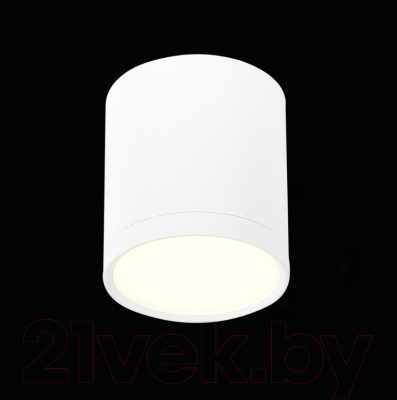 Точечный светильник ST Luce Rene ST113.532.05