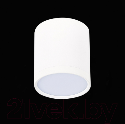 Точечный светильник ST Luce Rene ST113.532.05