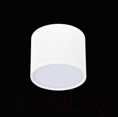 Точечный светильник ST Luce Rene ST113.532.09