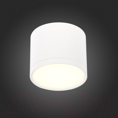 Точечный светильник ST Luce Rene ST113.532.09