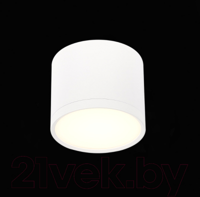 Точечный светильник ST Luce Rene ST113.532.09