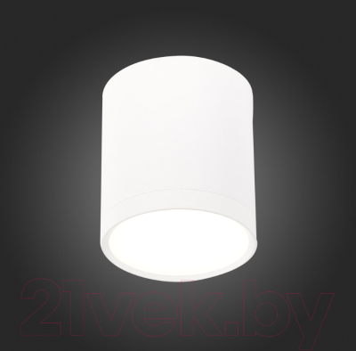 Точечный светильник ST Luce Rene ST113.542.05