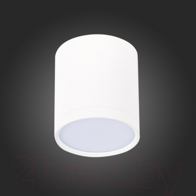 Точечный светильник ST Luce Rene ST113.542.05