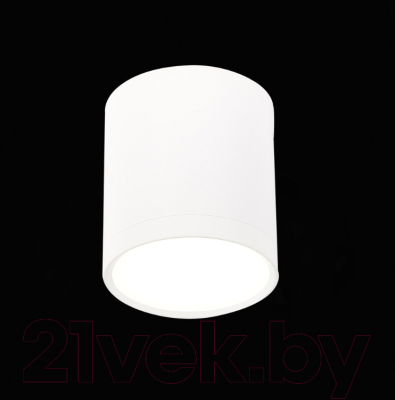 Точечный светильник ST Luce Rene ST113.542.05