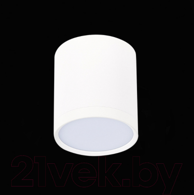 Точечный светильник ST Luce Rene ST113.542.05