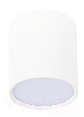 Точечный светильник ST Luce Rene ST113.542.05