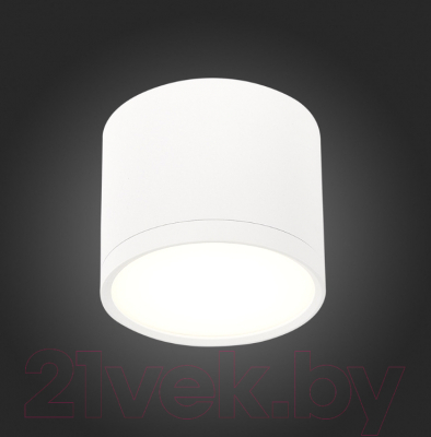 Точечный светильник ST Luce Rene ST113.542.09