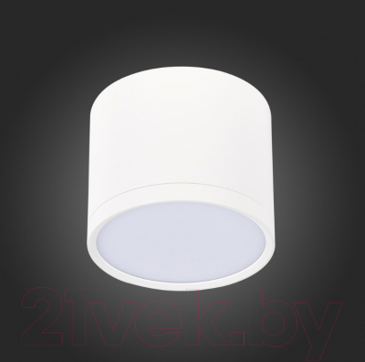 Точечный светильник ST Luce Rene ST113.542.09