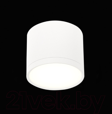 Точечный светильник ST Luce Rene ST113.542.09