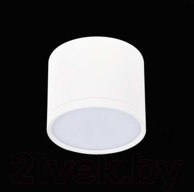 Точечный светильник ST Luce Rene ST113.542.09