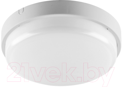 Светильник ЖКХ Wolta ДПП01-12-021-4К-ОА - фото