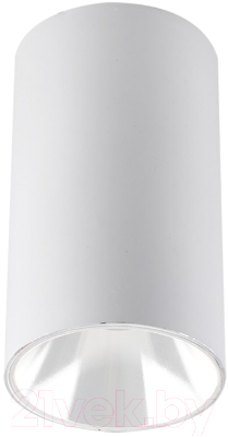 Точечный светильник JAZZway 5031326 - фото