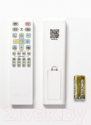 Потолочный светильник Citilux Сезар CL233A250E