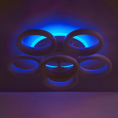 Потолочный светильник Citilux Паркер CL225A160E