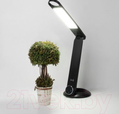 Настольная лампа Евросвет 80428/1 (черный)