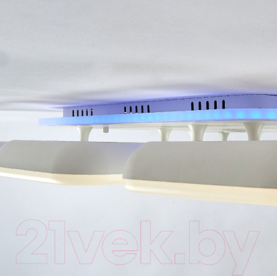 Потолочный светильник Citilux Паркер CL225A290E