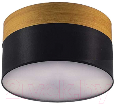 Потолочный светильник Aitin-Pro НПБ 513 - фото