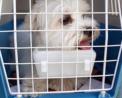 Переноска для животных Ferplast Atlas 20 Open / 73016099