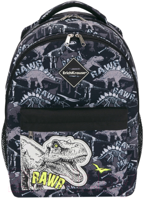 Школьный рюкзак Erich Krause EasyLine 20L Dinosaur Park / 51629
