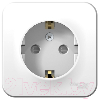 Розетка Systeme (Schneider) Electric Blanca BLNRA011101 - фото