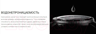 Часы наручные мужские Tissot T101.617.11.051.00