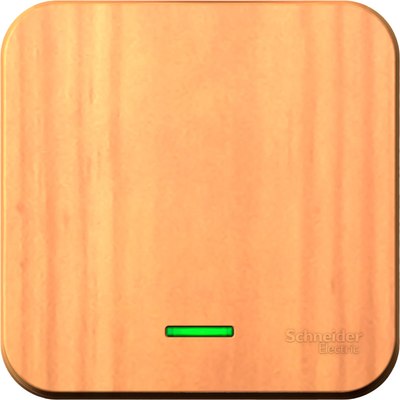 Выключатель Schneider Electric Blanca BLNVA101105 - фото