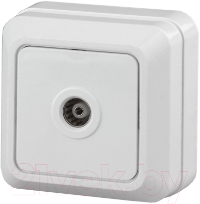 Розетка INTRO Quadro 2-301-01 / Б0027658 - фото