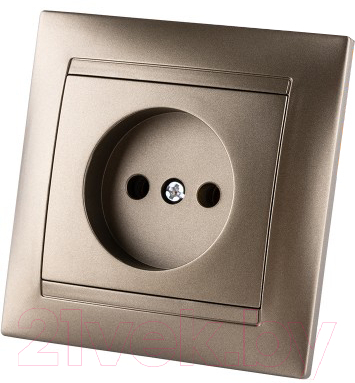 Розетка TDM Лама SQ1815-0722 - фото