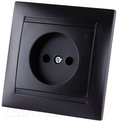 Розетка TDM Лама SQ1815-0622 - фото