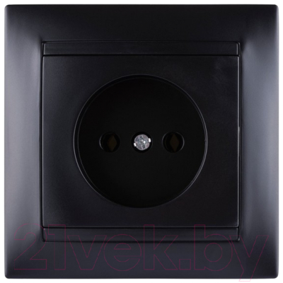 Розетка TDM Лама SQ1815-0622