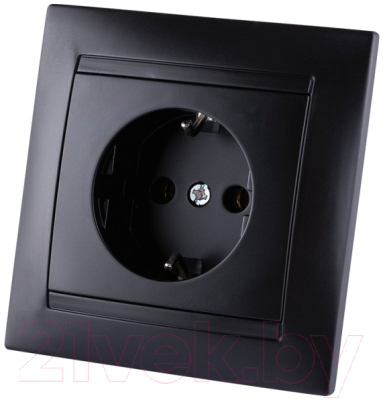 Розетка TDM Лама SQ1815-0611 - фото