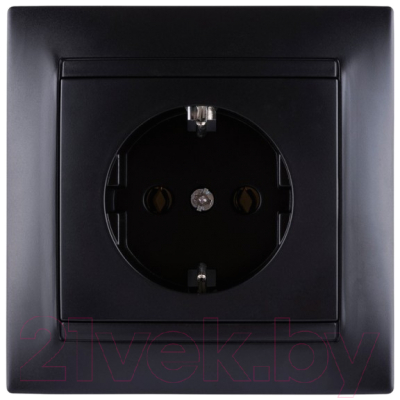 Розетка TDM Лама SQ1815-0611