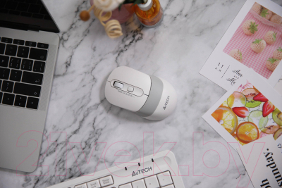 Мышь A4Tech Fstyler FG10