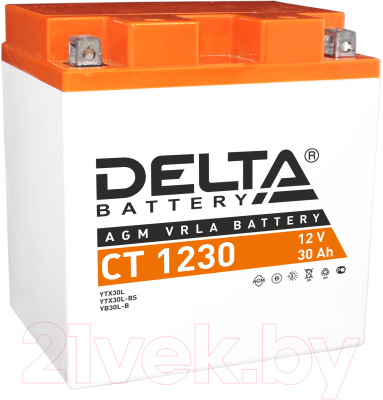 Мотоаккумулятор DELTA AGM СТ 1230 YIX30L / YIX30L-BS / YB30L - фото