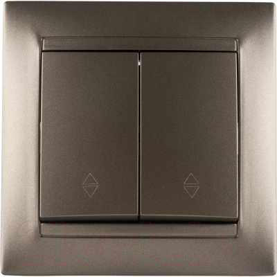 Выключатель TDM Лама SQ1815-0707