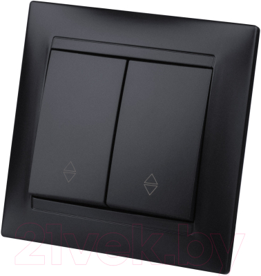 Выключатель TDM Лама SQ1815-0607 - фото