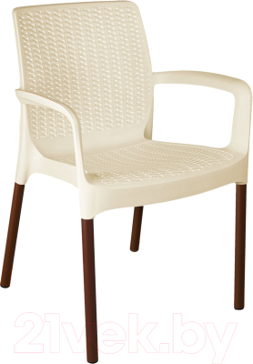 Стул садовый Sheffilton SHT-S68 - фото