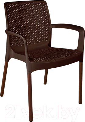 Стул садовый Sheffilton SHT-S68 - фото