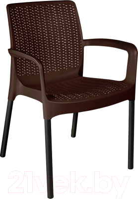 Стул садовый Sheffilton SHT-S68 - фото