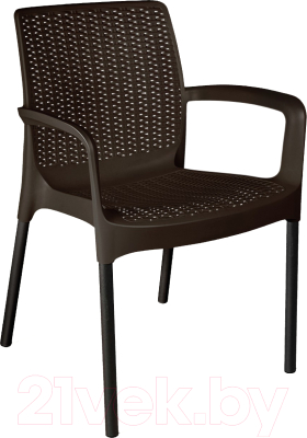 Стул садовый Sheffilton SHT-S68 - фото