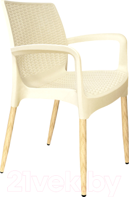 Стул садовый Sheffilton SHT-S68/S424-С - фото