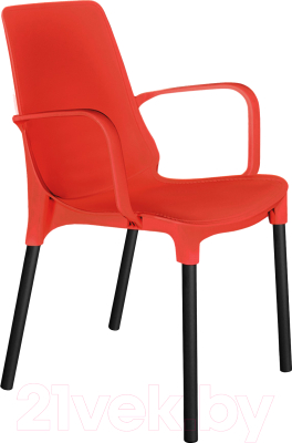 Стул Sheffilton SHT-S76 - фото